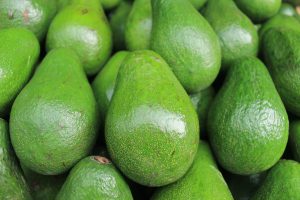 Unripe Avocados