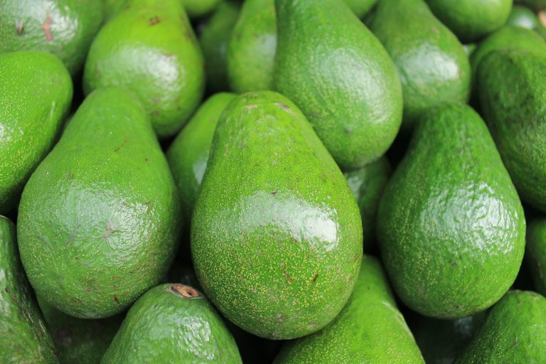 Unripe Avocados