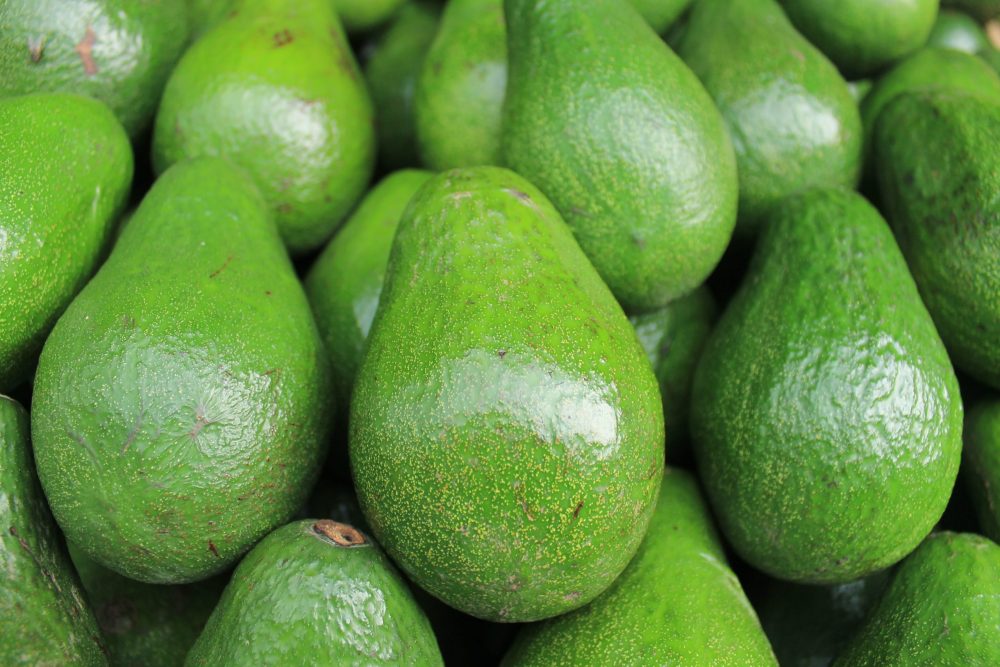 Unripe Avocados