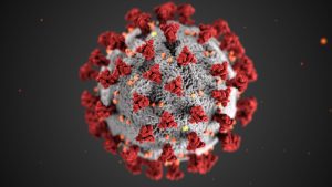 Structure of a coronavirus