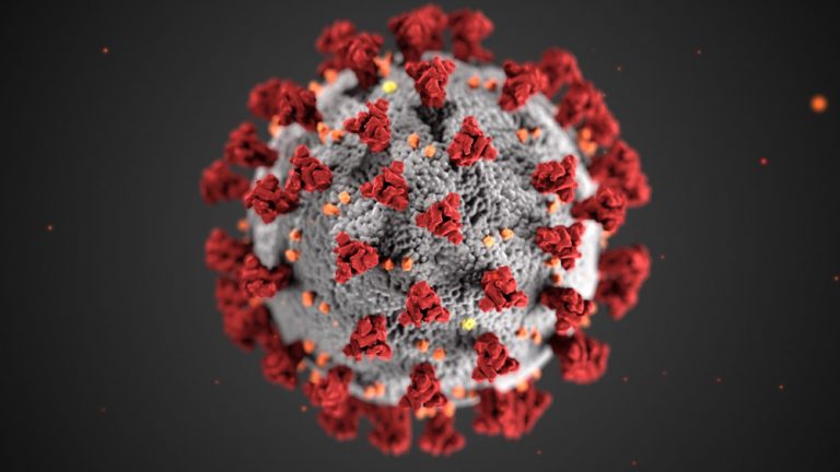 Structure of a coronavirus