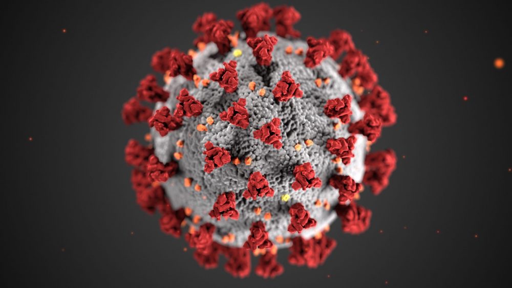 Structure of a coronavirus
