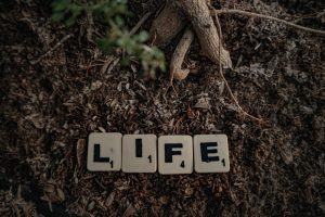 Scrabble tiles on soil spelling the word life