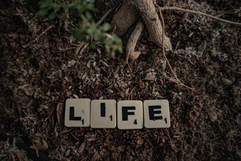 Scrabble tiles on soil spelling the word life