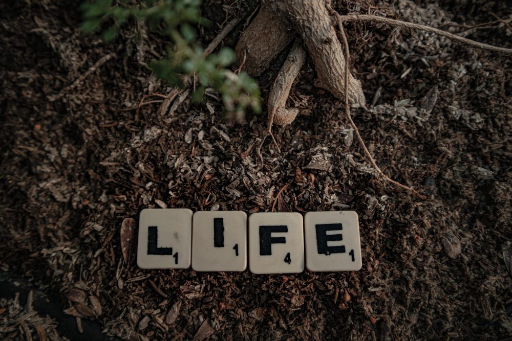 Scrabble tiles on soil spelling the word life